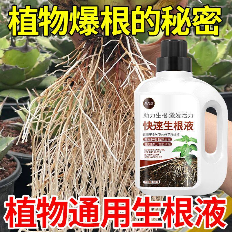 植物快速生根液扦插花卉月季多肉盆栽养花专用通用型水培促生根液
