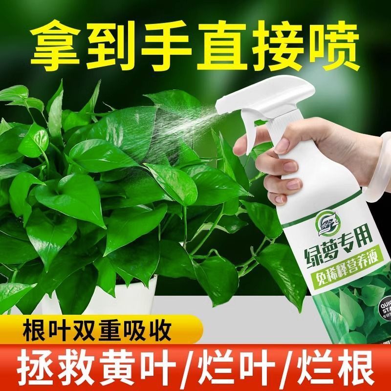 绿萝专用肥营养液肥料免稀释绿植室内盆栽阳台家用营养水液体肥料
