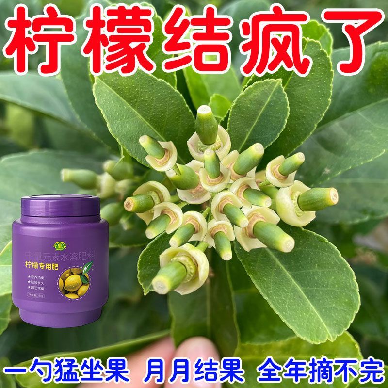柠檬树专用肥家庭果树控释颗粒肥室内盆栽植物花卉养花缓释肥料