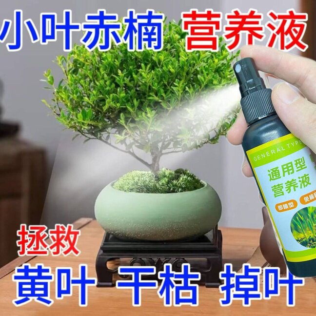 小叶赤楠专用营养液防黄叶落叶促生长生根盆景绿植正品有机肥料