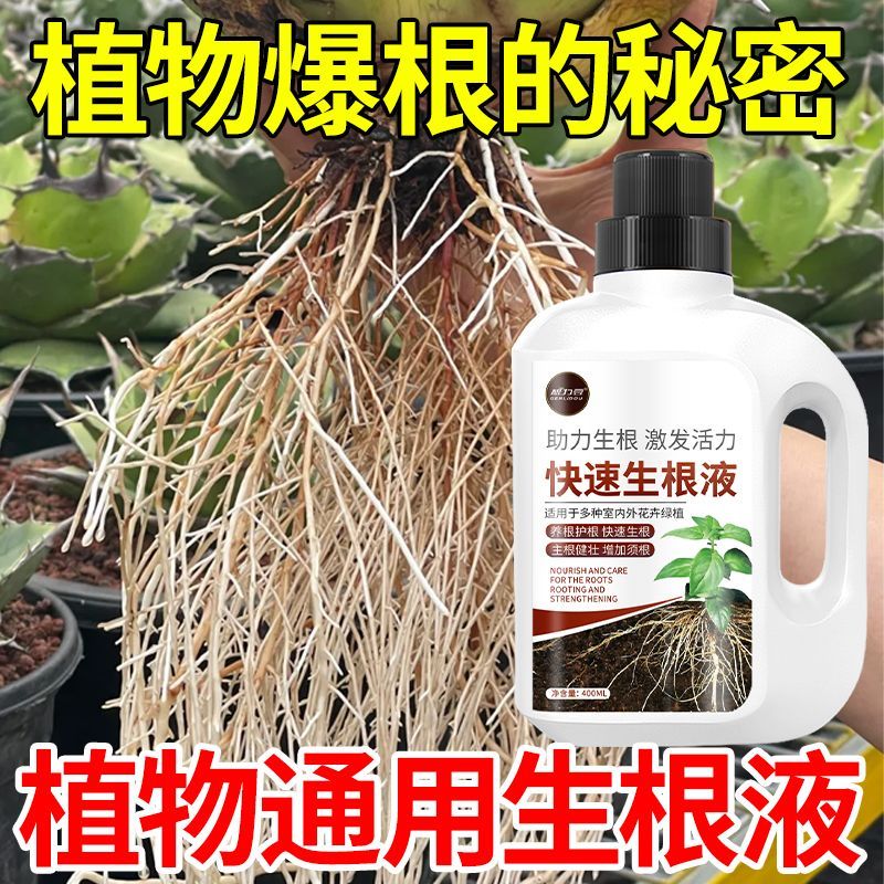 植物快速生根液扦插花卉月季多肉盆栽养花专用通用型水培促生根液