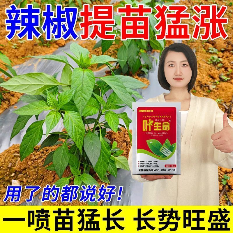 辣椒增产肥促生长壮根壮苗肥辣椒一喷猛长结果多辣椒专用水溶肥