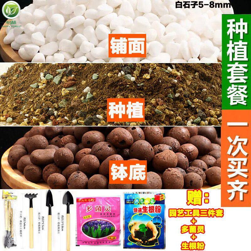 多肉土专用营养土颗粒多肉植物混合土植物泥炭土铺面石纯颗粒叶插
