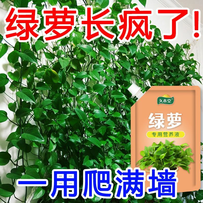 绿萝肥料专用肥盆栽生根发芽促生长防黄叶液体肥绿植浓缩型营养液