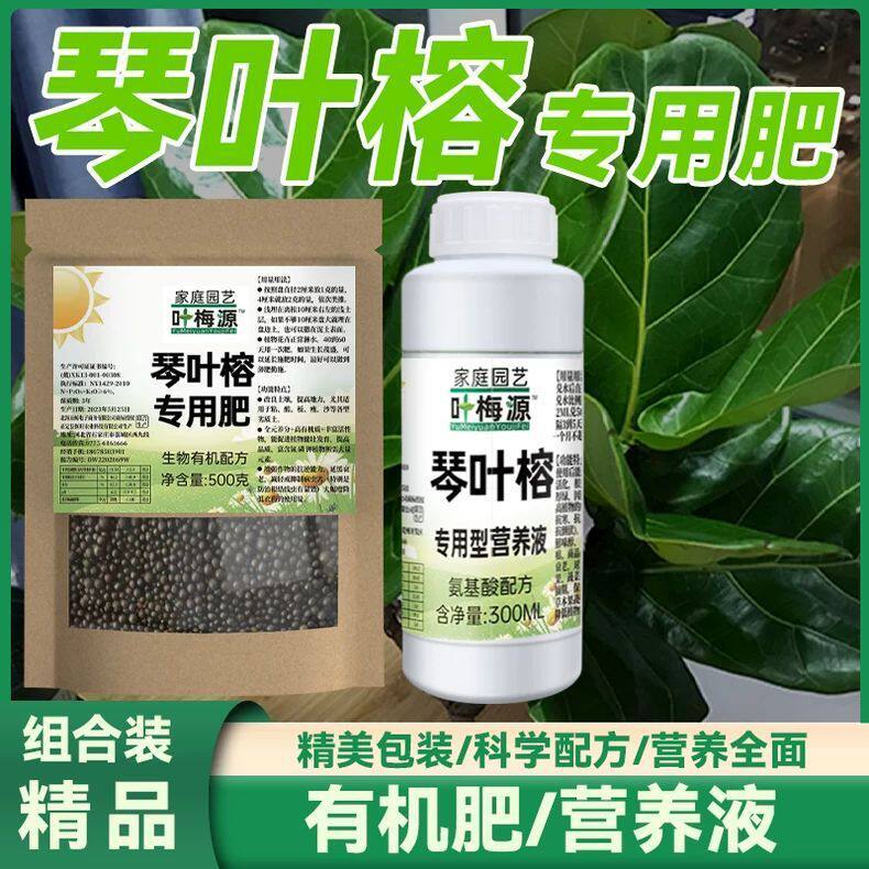琴叶榕可用的肥料营养液肥非土苗有复机合锈斑水培叶面微生物菌肥