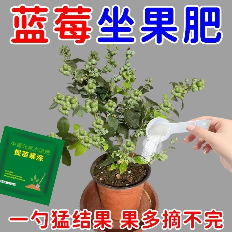 蓝莓营养液促花促果防黄叶促发芽专用肥家用生长期挂果增甜水溶肥