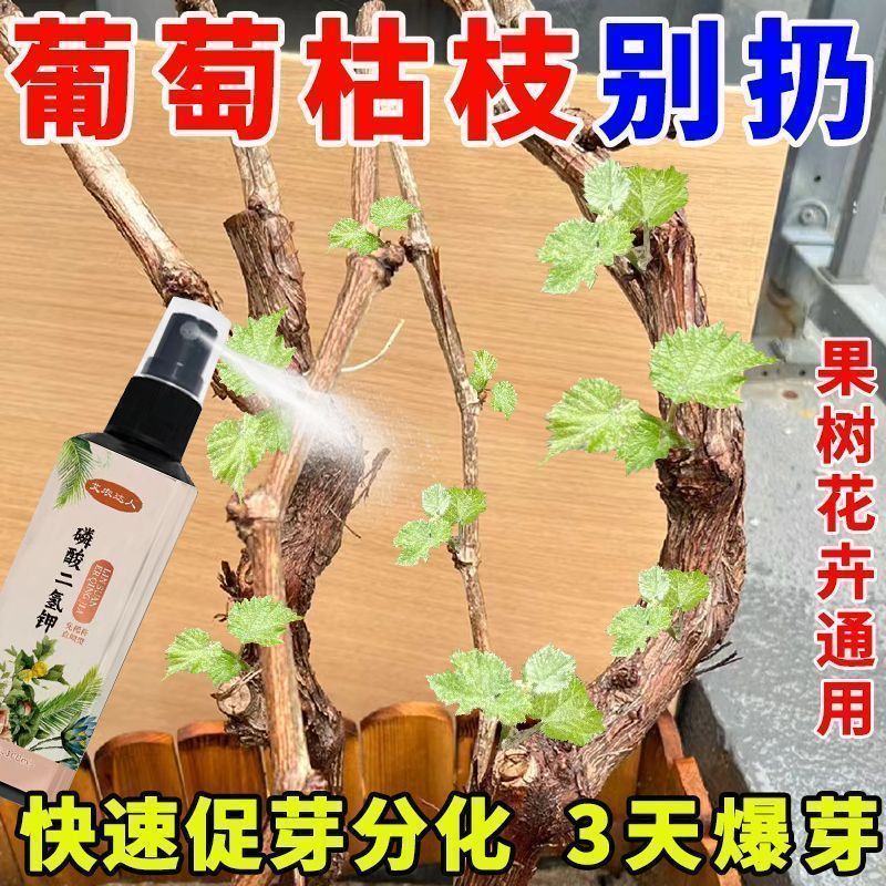 洗眉机激光祛斑纹身洗眉便携式美容院专用仪器快速促芽新款通用