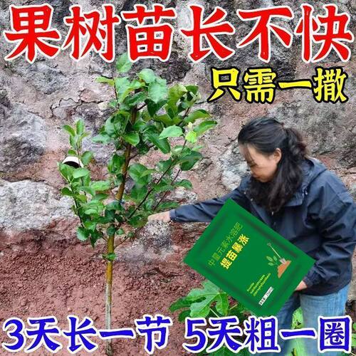树木生长素猛长速特快果树快速生长专用肥料营养液生根剂移栽树苗