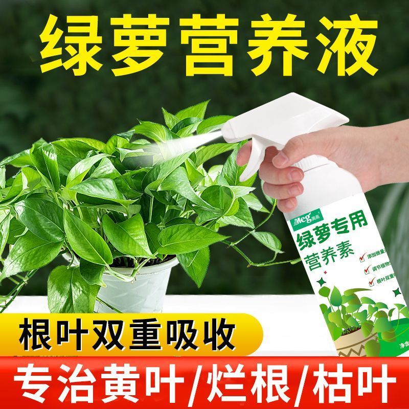 绿萝专用花肥家用室内水培盆栽吊兰发财树花卉通用型免稀释营养液