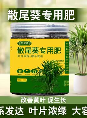 散尾葵肥料专用肥海南椰子树富贵椰子夏威夷树袖珍椰子有机肥家用