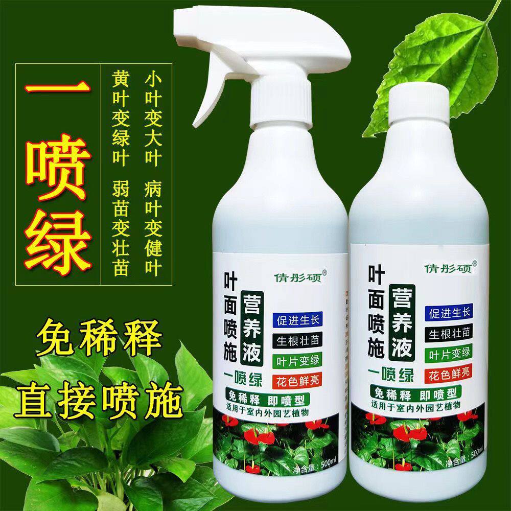 一喷绿营养液花肥料氨基酸叶面肥免稀释黄叶变绿植物花卉通用即喷