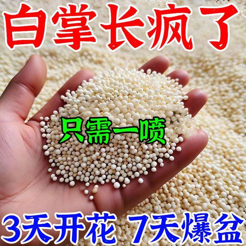 2026款白掌红掌营养液防黄叶烂根不开花一帆风顺促芽壮根催开花肥