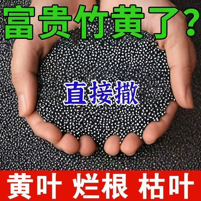 2026富贵竹营养液生根促发芽爆盆四季常绿专用肥防黄叶枯瘦不烂根