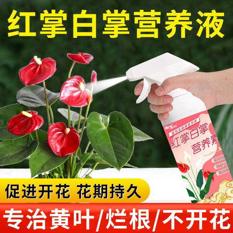 红掌专用营养液白掌专用肥料家用室内盆栽水培植物通用型液体肥料