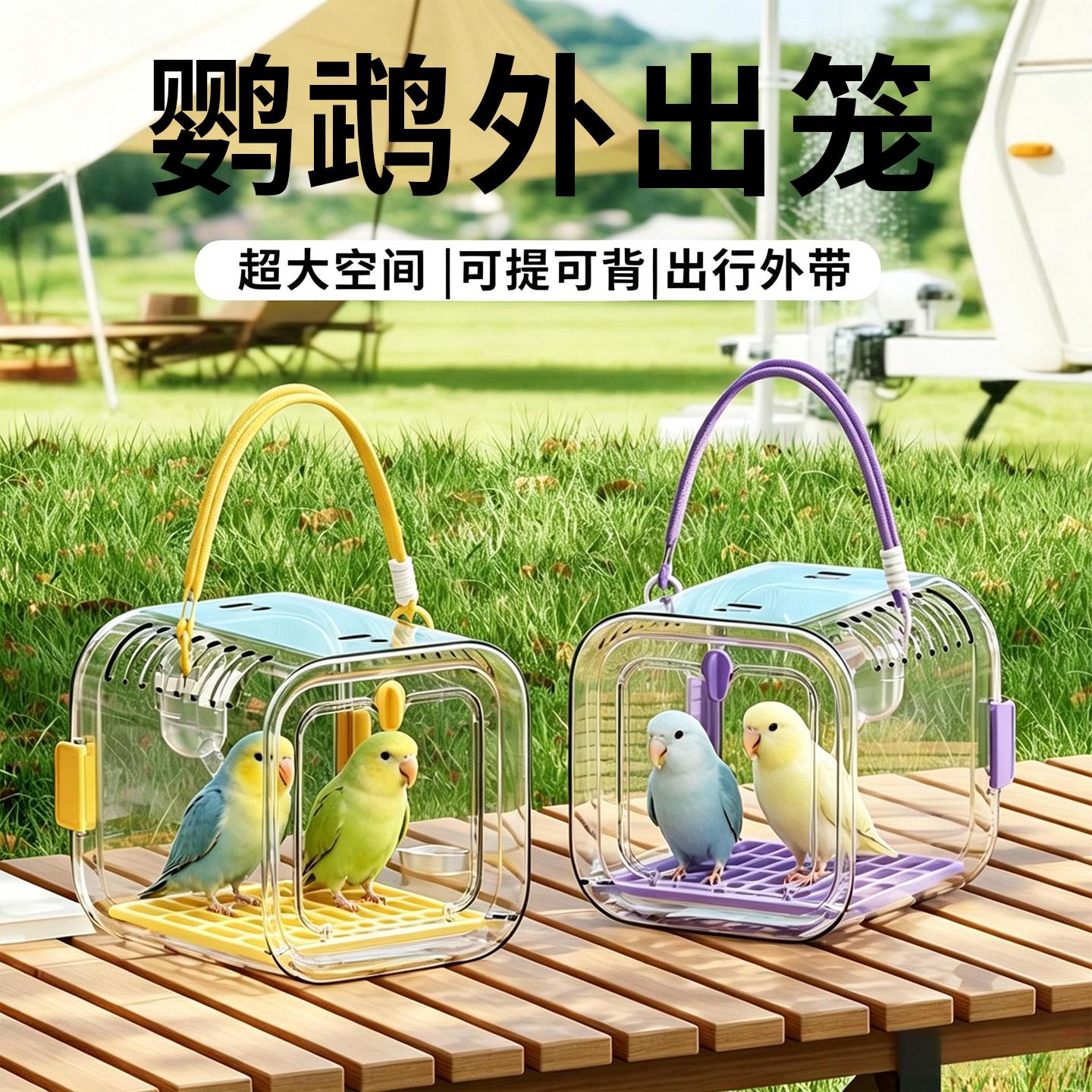 鹦鹉外出笼户外便携大空间手提图片