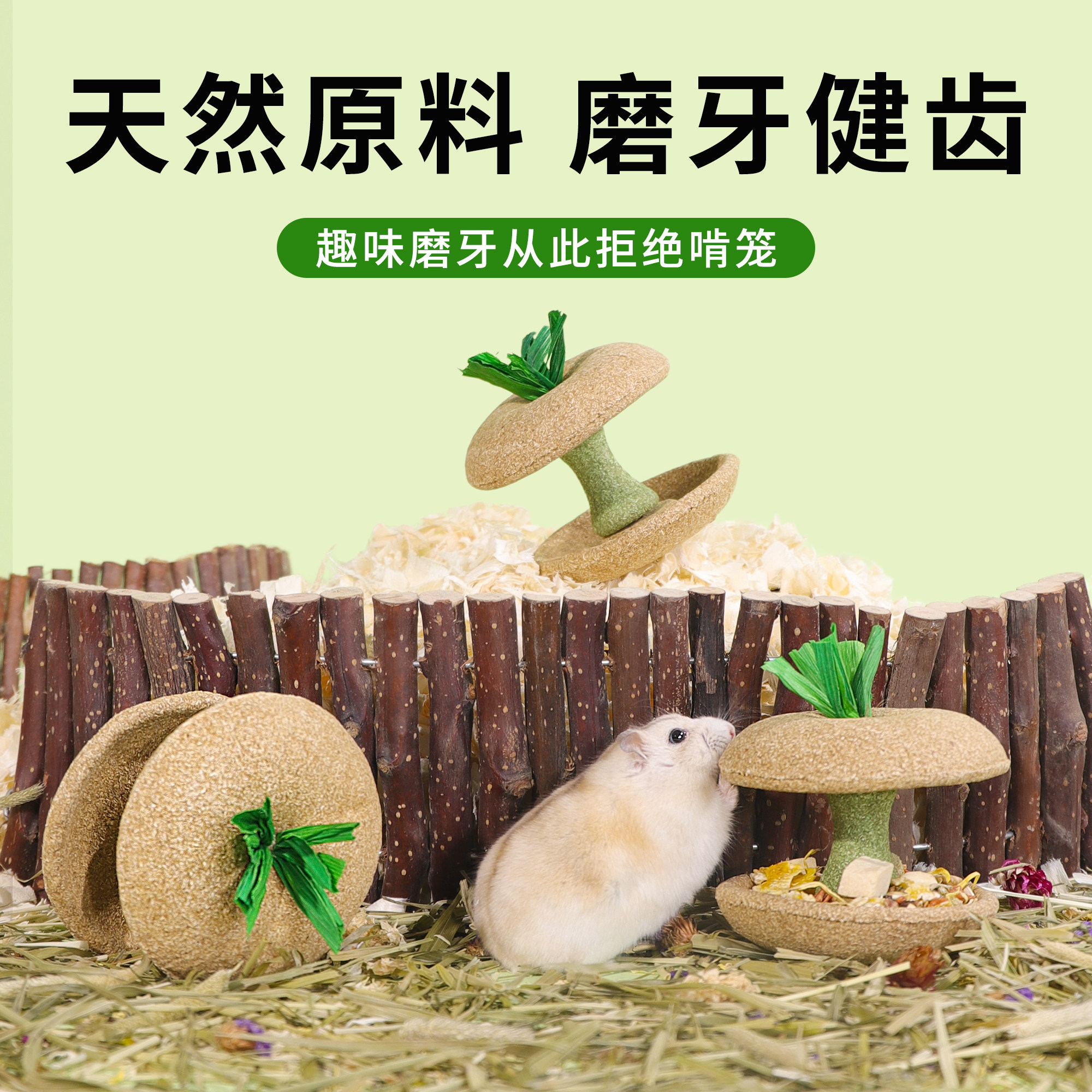 仓鼠磨牙棒苹果核耐咬金丝熊营养粮食小零食解闷玩具造景用品大全,宠物/宠物食品及用品,鼠粮,淘宝优惠券,粉丝福利购,淘宝优惠卷