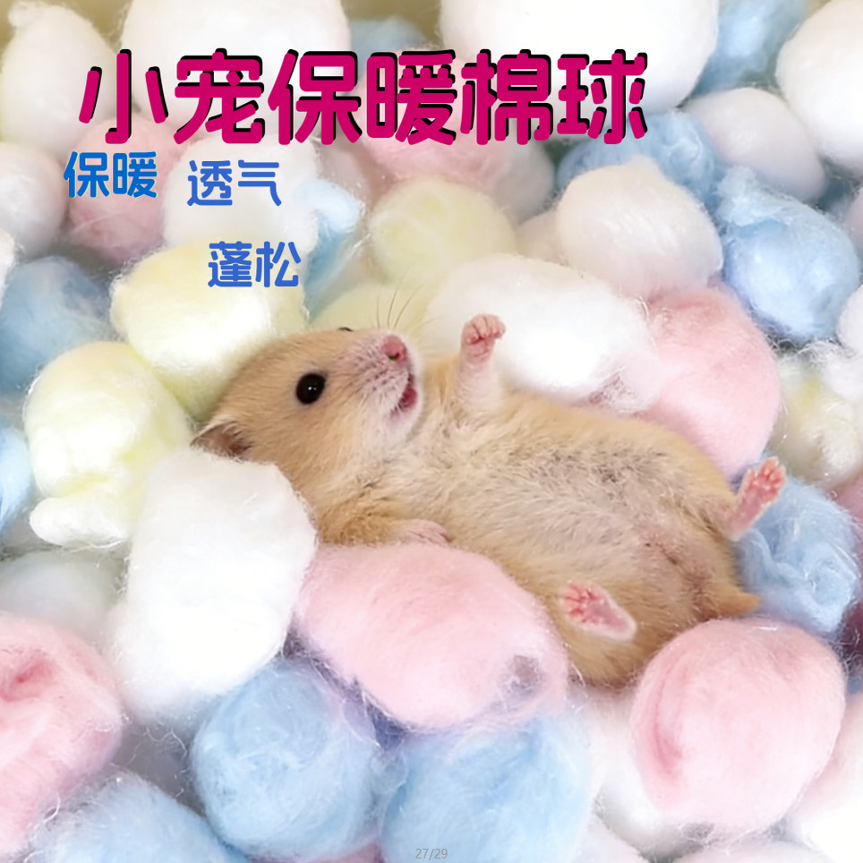 仓鼠保暖棉球冬季保暖纸棉冬天用品金丝熊专用过冬脱脂棉球棉被,宠物/宠物食品及用品,垫料,淘宝优惠券,粉丝福利购,淘宝优惠卷