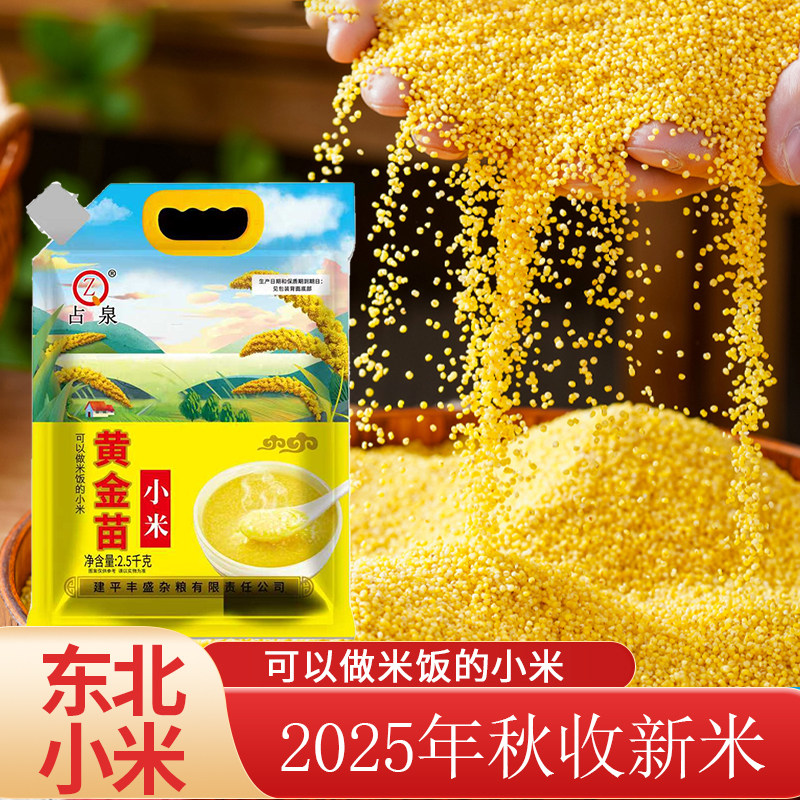 东北辽宁朝阳2025年秋收黄金苗小米