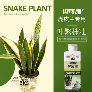 贝可施虎皮兰营养液专用肥料液浓缩花卉绿植室内液体肥促花绿叶