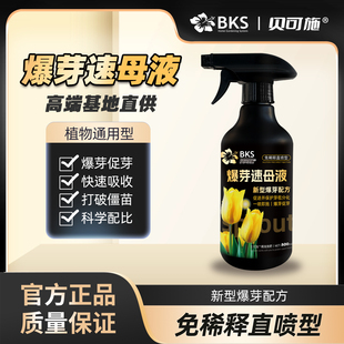 贝可施爆芽速母液多芽促芽催芽分化叶插花植物多肉绿植植物营养液