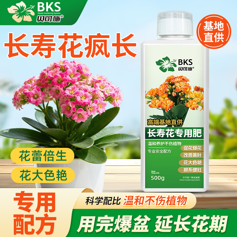 长寿花专用肥促花爆盆营养液