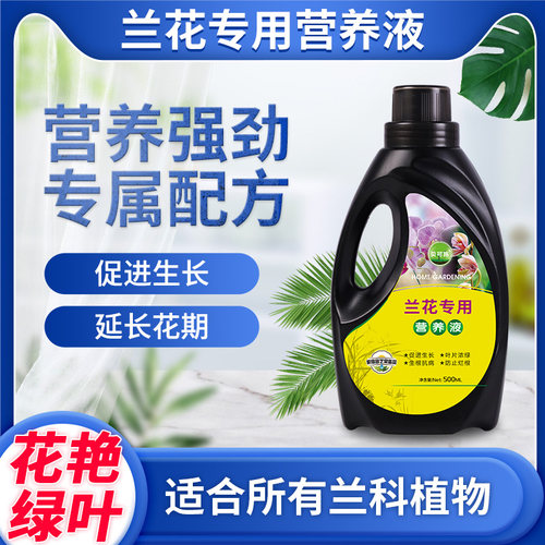 专为兰花设计叶绿花艳生长旺盛