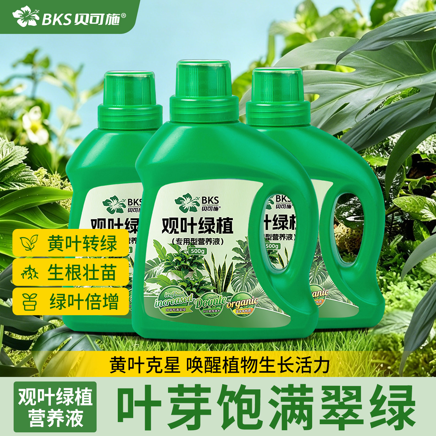 贝可施观叶绿植专用营养液生根壮苗根茎促壮龟背竹吊兰水培肥料