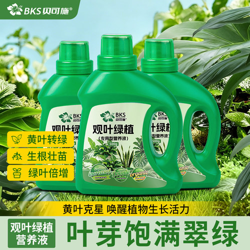 贝可施观叶绿植专用营养液生根壮苗根茎促壮龟背竹吊兰水培肥料