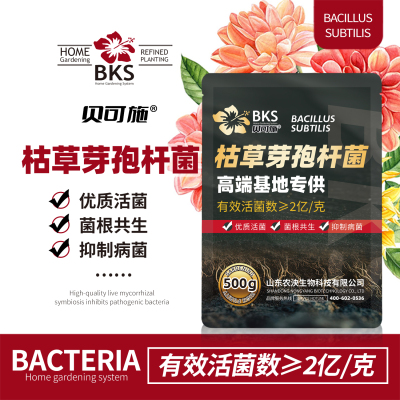 枯草芽孢杆菌根腐克星烂根急救肥