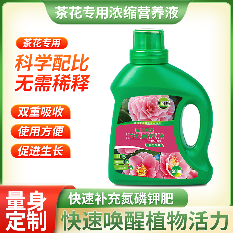 贝可施茶花专业营养液