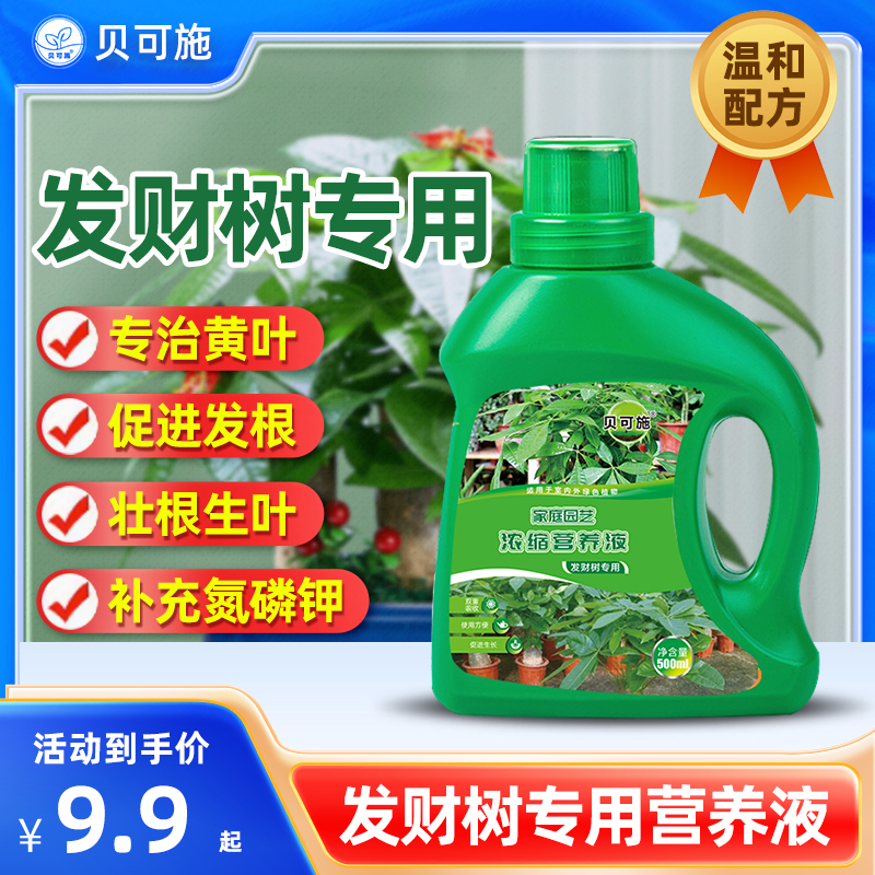 贝可施营养液发财树专用