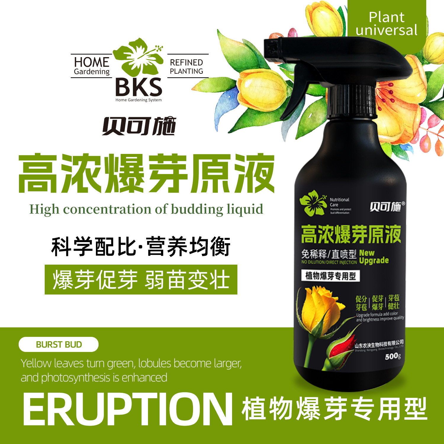 贝可施高浓爆芽原液多肉爆芽素促芽催芽叶插花植物多肉绿植营养液