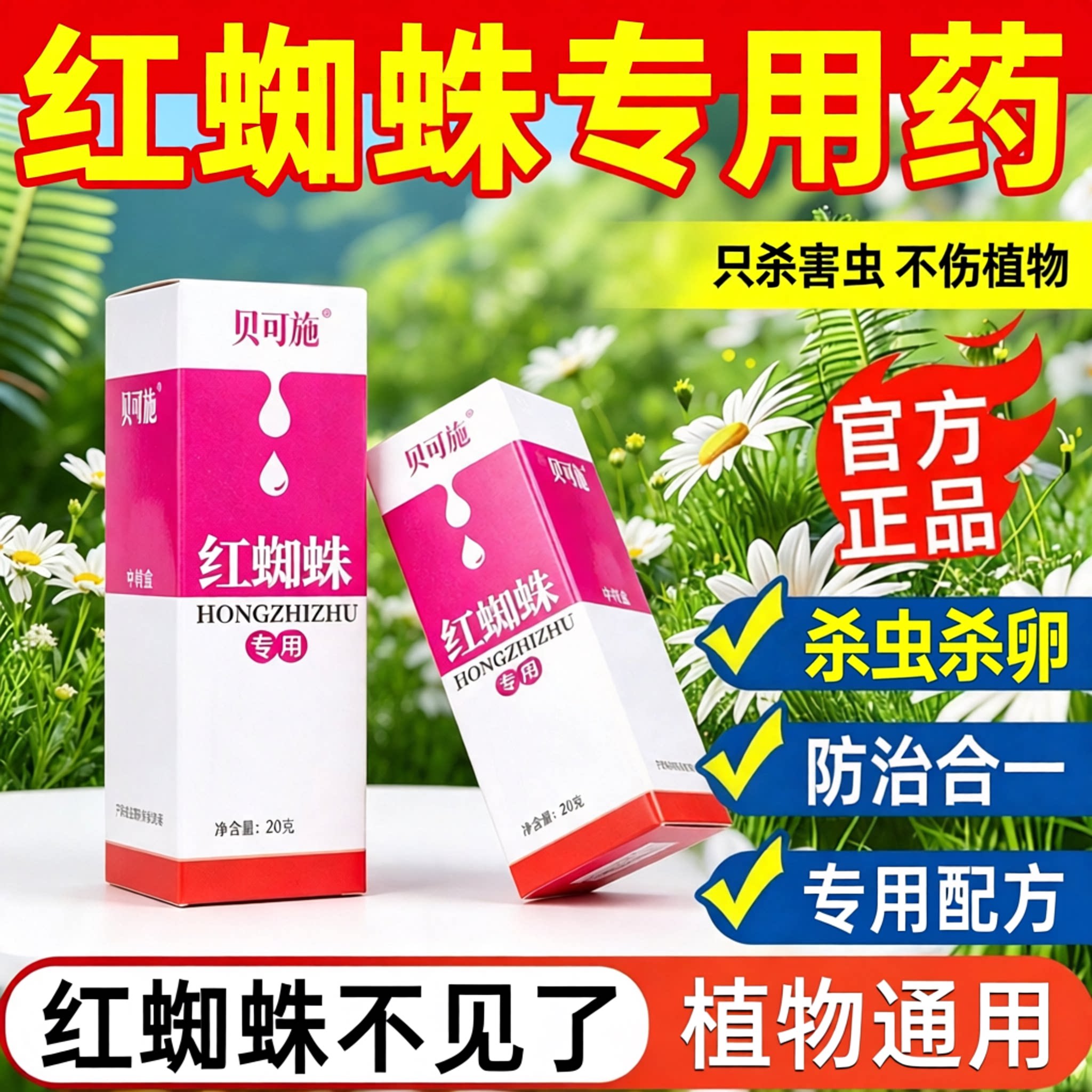 贝可施杀红蜘蛛专用杀虫剂常用药阿维菌素乙螨唑月季花卉虫卵双杀