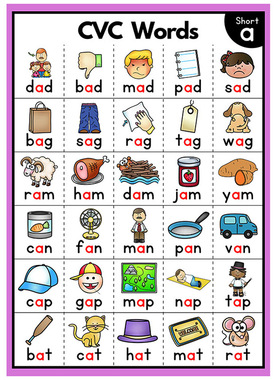 英语自然拼读入门CVC词族闪卡英文教具元音辅音字母小学单词卡片