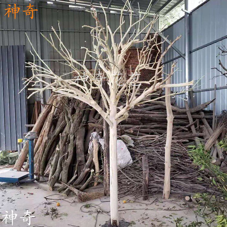定制仿真枯树大型干枝道具酒店