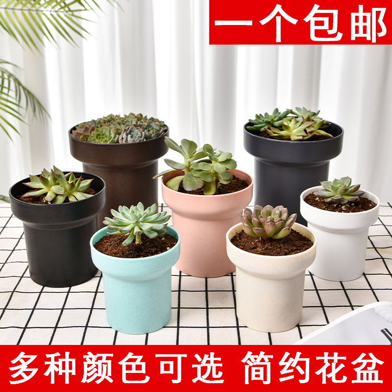 大口径多肉花盆个性创意