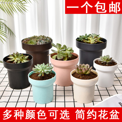 大口径多肉花盆个性创意