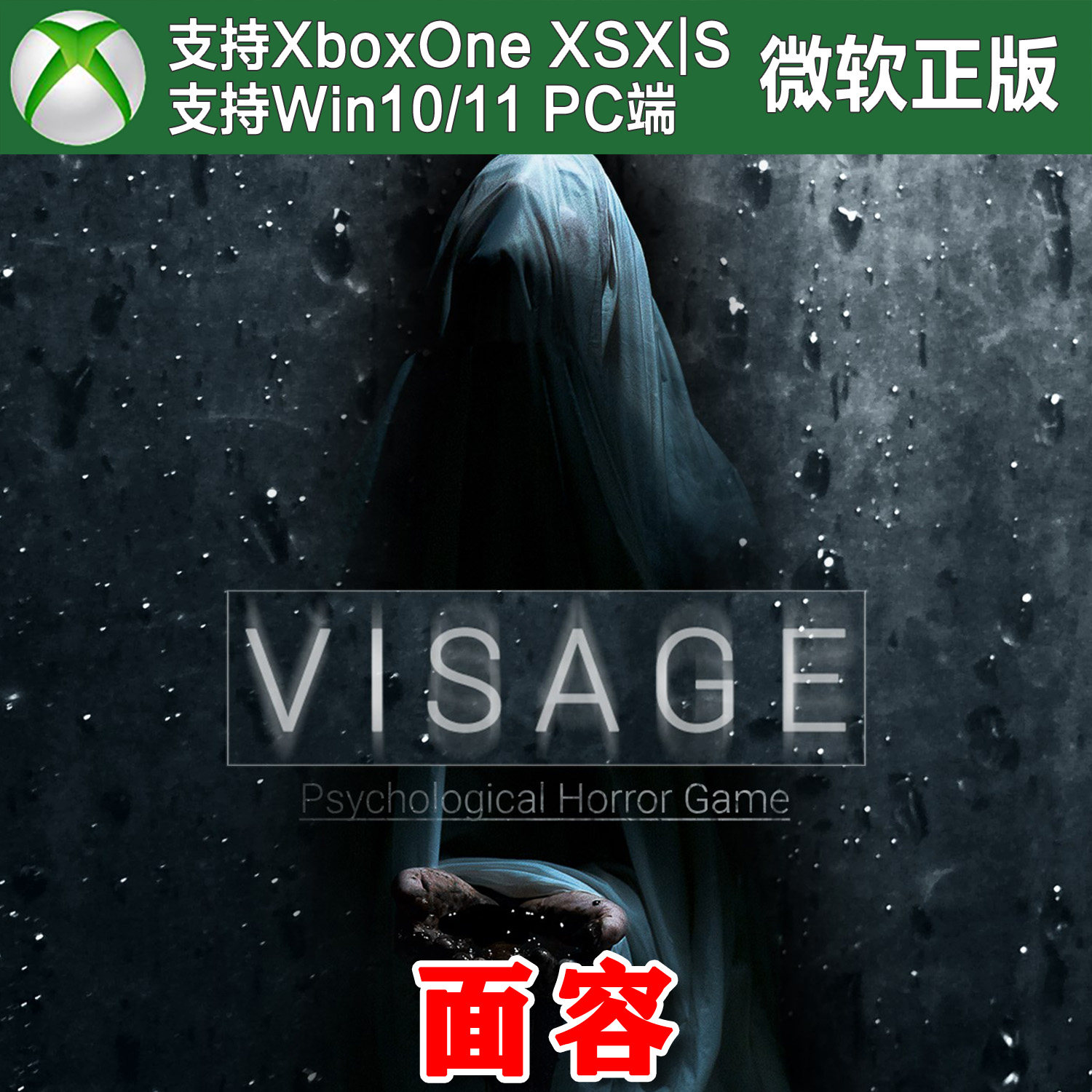 Visage 面容 XBOX One XSX XSS Win10/11 PC 尼日代购激活 - 实物图