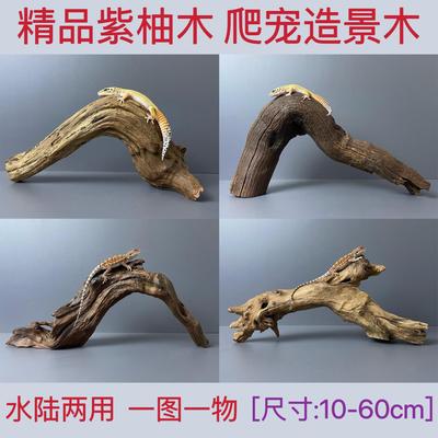 守宫鬃狮蜥沉木紫柚木枯木爬宠箱造景木鱼缸造景晒背台躲避寄居蟹