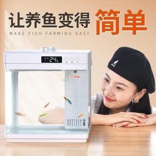 鱼缸客厅小型桌面水族箱家用造景水内置空气净化生态缸