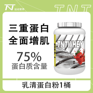 替恩替乳清蛋白粉454g运动健身男女增肌蛋白质粉