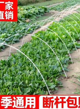 大朋架子支架棚拱条菜地遮阳防晒网杆保温花农用小弓棚骨防寒育苗