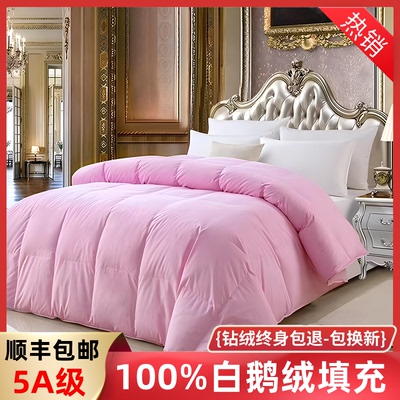 希尔顿酒店匈牙利进口95白鹅绒冬羽绒被春秋被芯加厚保暖鹅绒被子