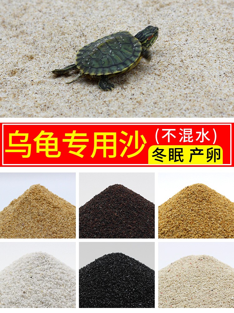 乌龟专用细沙龟沙产卵冬眠孵化下蛋爬宠鱼缸底砂造景水草装饰沙子