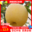 正宗山东烟台黄金奶油富士白色丑苹果当季 整箱 有果绣新鲜水果应季