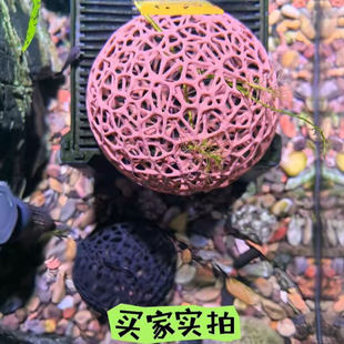 黑壳虾庇护所小鱼躲避屋鱼虾繁殖蜂窝小虾庇护所镂空鱼缸造景装饰