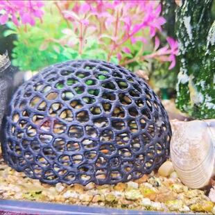 黑壳虾小鱼躲避屋鱼虾繁殖小鱼小虾庇护所镂空半球形鱼缸造景装饰