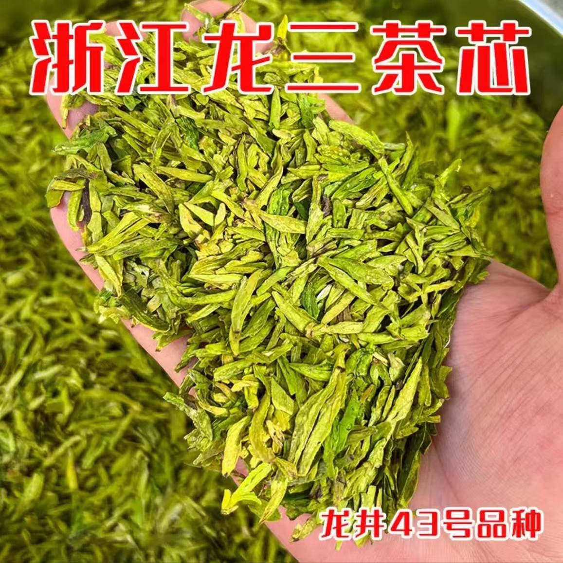 2026新茶龙井43茶芯断芽明特色产区绿茶