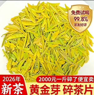【2026黄金芽茶片】明前头采高山 高碎 豆香浓香黄金芽大碎片批发