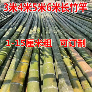 竹竿3米4米5米6米长粗大毛竹竹竿子晾衣杆子工地用搭架毛竹杆竹子